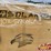 2026-sdlanch-42ft-x-30ft-triple-garage-metal-shed-image-7