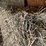 #1952-•-(10)-2026-first-crop-3-x-3-x-7-large-square-hay-bales-image-5