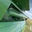 2011-john-deere-9870-sts-image-71