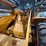 2008-hyundai-hl730xtd-7a-image-15