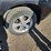 2008-lexus-rx400h-image-9