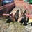 new-holland-516-image-5