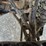 #25317-•-2013-yamaha-grizzly-700-image-52