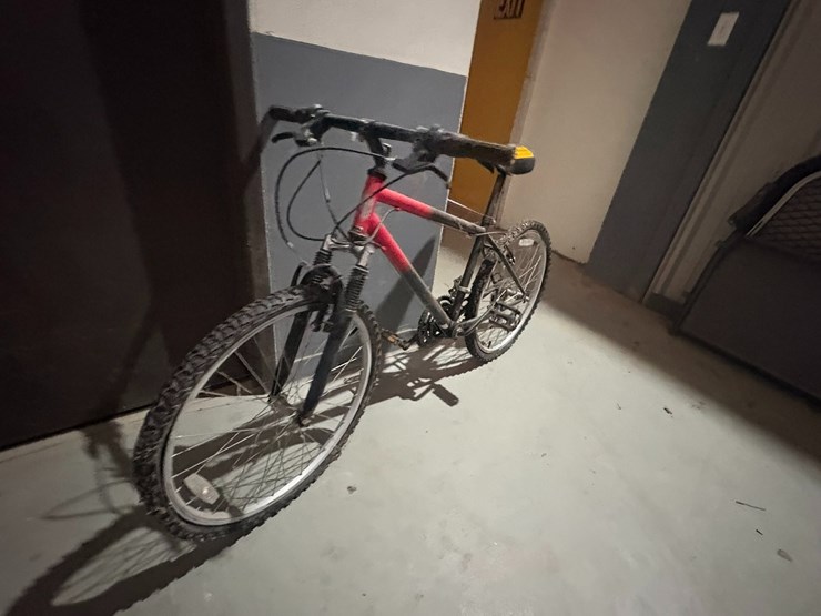 #42119-•-mountain-bike-image-2