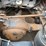 2009-caterpillar-c13-image-73