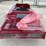 2026-sdlanch-et13-electric-dump-tricycle-image-7