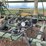john-deere-41-image-10