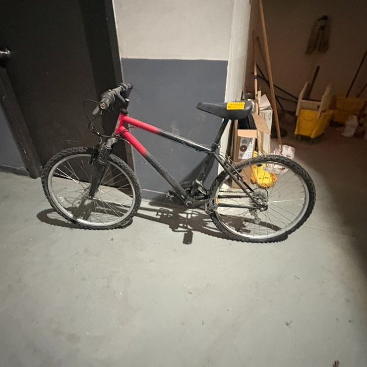 #42119 • Mountain Bike