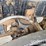2019-freightliner-122sd-image-40
