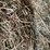 #1950-•-(10)-2026-first-crop-3-x-3-x-7-large-square-hay-bales-image-4