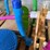 #42072-•-unused-splash-pads-image-16