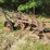 tractor-drawn-pull-type-moldboard-plow-image-1