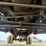 2001-dodge-ram-3500-image-19