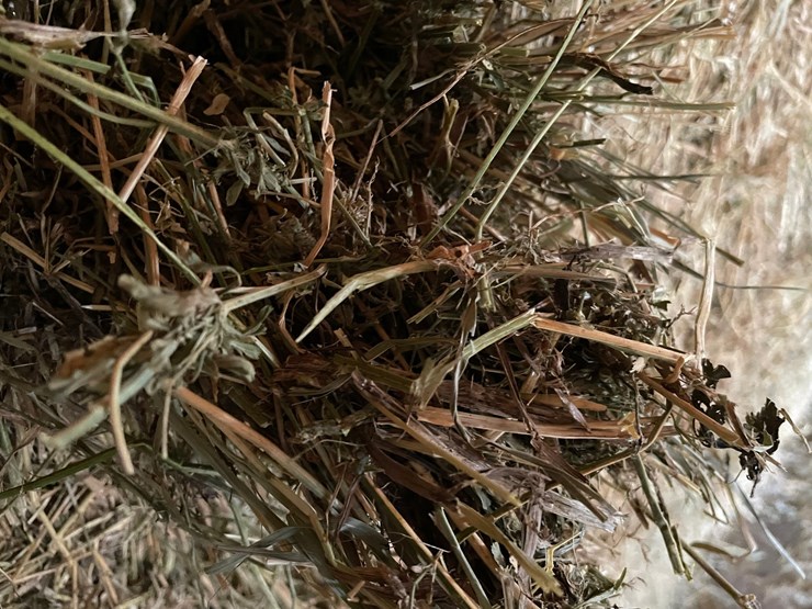 #1953-•-(10)-2026-first-crop-3-x-3-x-7-large-square-hay-bales-image-14