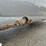 2009-cargo-express-image-29