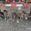 kenworth-t800b-image-63