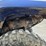 #25317-•-2013-yamaha-grizzly-700-image-33