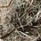 #1950-•-(10)-2026-first-crop-3-x-3-x-7-large-square-hay-bales-image-8