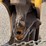 jcb-214-image-47