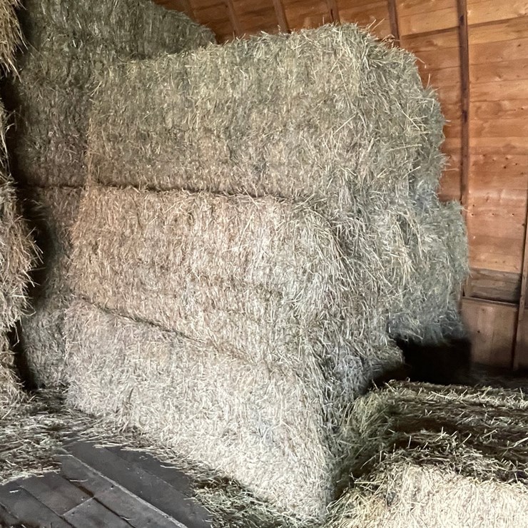 #1954 • (10) 2026 First Crop 3 X 3 X 7 Large Square Hay Bales
