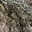 #1954-•-(10)-2026-first-crop-3-x-3-x-7-large-square-hay-bales-image-9