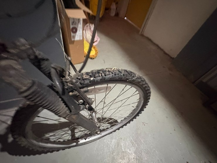 #42119-•-mountain-bike-image-8