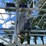 #1640-•-dock-rite-aluminum-electric-pontoon-lift-with-canopy-image-6