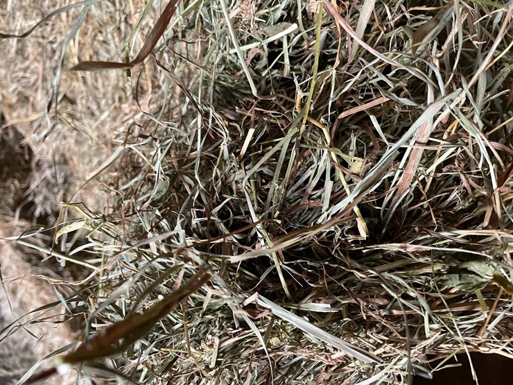 #1952-•-(10)-2026-first-crop-3-x-3-x-7-large-square-hay-bales-image-8