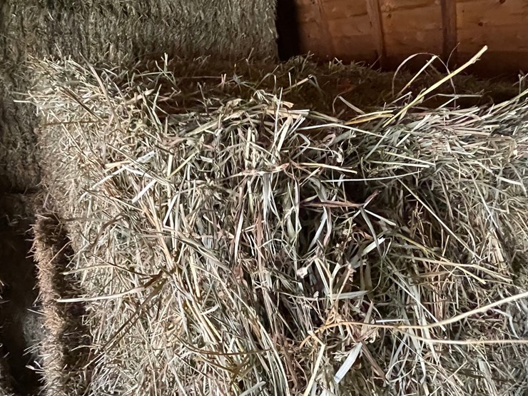 #1950-•-(10)-2026-first-crop-3-x-3-x-7-large-square-hay-bales-image-5