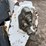 2016-bobcat-s570-image-12