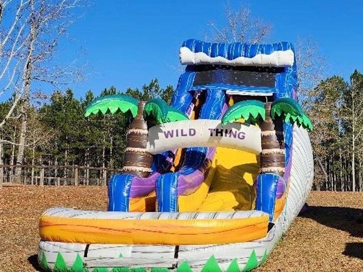 wild-thing-single-lane-18'-inflatable-water-slide-w/-blowers-image-1
