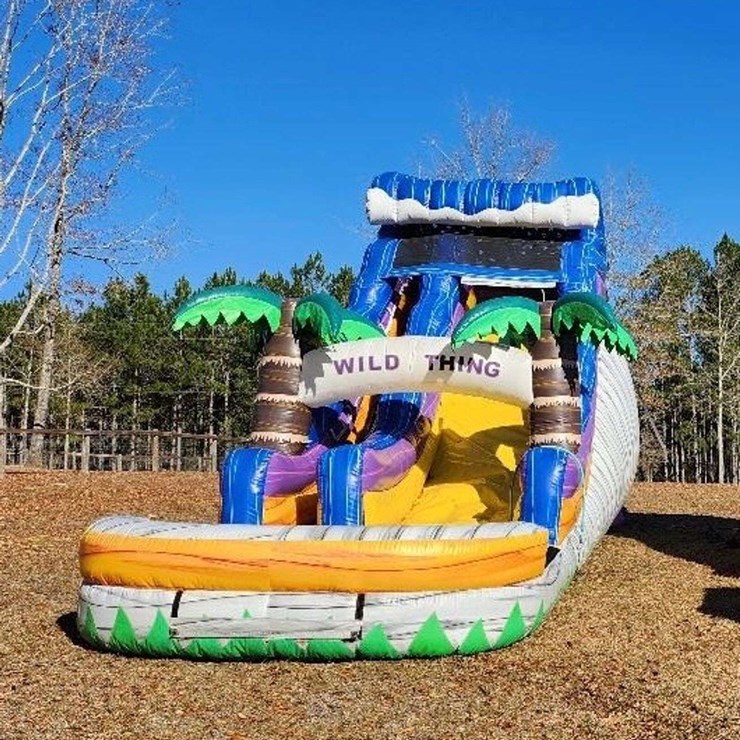 Wild Thing Single Lane 18' Inflatable Water Slide w/ Blowers