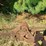 tractor-drawn-pull-type-moldboard-plow-image-5