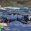 2017-ford-f250-image-32