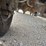 #25320-•-2001-dodge-ram-pickup-pickup-truck-image-77