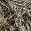 #1954-•-(10)-2026-first-crop-3-x-3-x-7-large-square-hay-bales-image-7