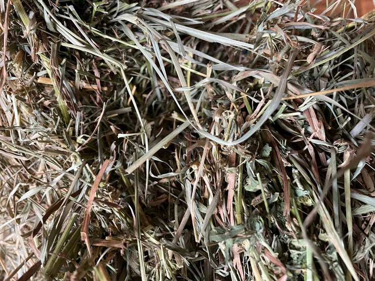 #1954-•-(10)-2026-first-crop-3-x-3-x-7-large-square-hay-bales-image-7