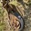 tractor-drawn-pull-type-moldboard-plow-image-7