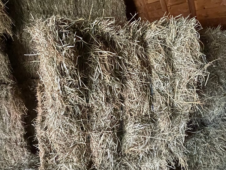 #1953-•-(10)-2026-first-crop-3-x-3-x-7-large-square-hay-bales-image-3