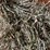 #1950-•-(10)-2026-first-crop-3-x-3-x-7-large-square-hay-bales-image-6