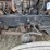 #1408-•-2014-peterbilt-388-sleeper-cab-truck-tractor-image-48