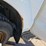 2012-ford-f350-image-27
