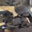 takeuchi-tb1140-image-16