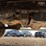 2011-ford-f350-image-29