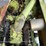 terex-ts14b-image-43