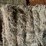 #1950-•-(10)-2026-first-crop-3-x-3-x-7-large-square-hay-bales-image-3