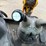 jcb-3cx-image-45
