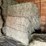 #1953-•-(10)-2026-first-crop-3-x-3-x-7-large-square-hay-bales-image-1