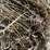 #1950-•-(10)-2026-first-crop-3-x-3-x-7-large-square-hay-bales-image-13