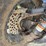 #25317-•-2013-yamaha-grizzly-700-image-35